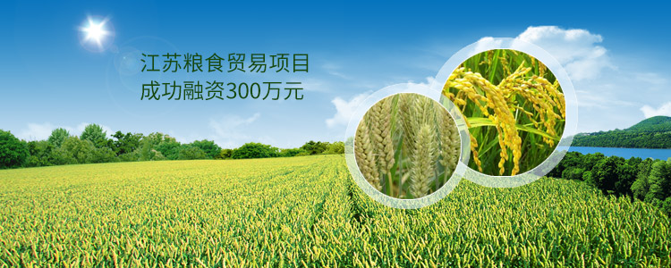 江苏粮食贸易项目成功合作300万元
