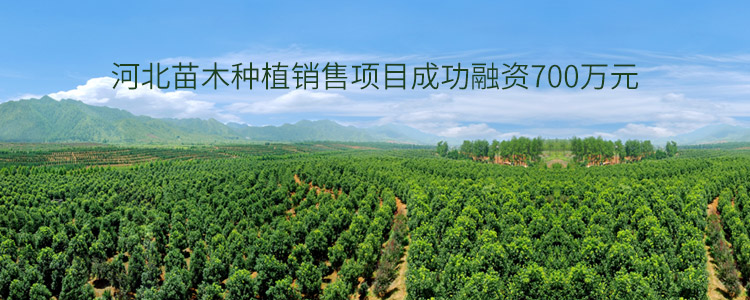 河北苗木种植销售项目成功合作700万元