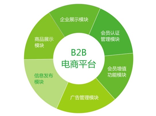 B2B电子商务网站项目融资商业计划书